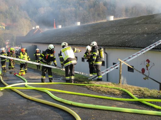 Brand