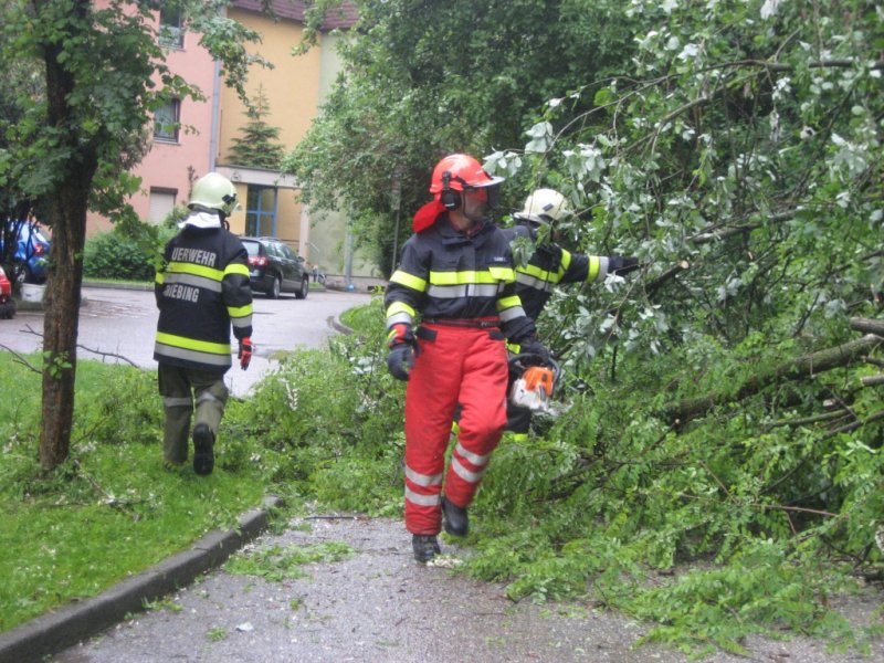 Sicherungsarbeit
