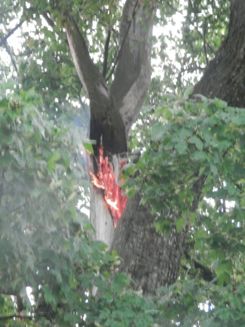 Brand