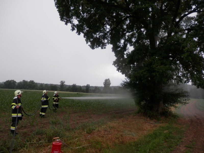 Brand