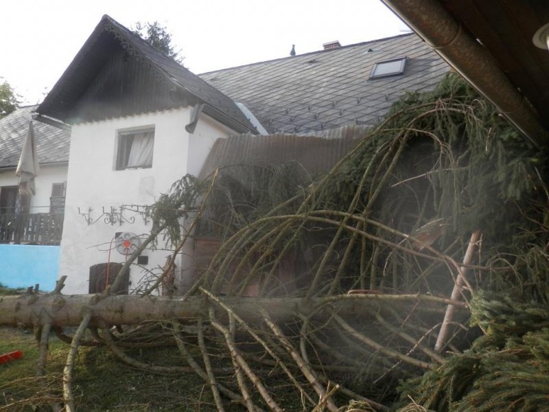 Sturmschaden
