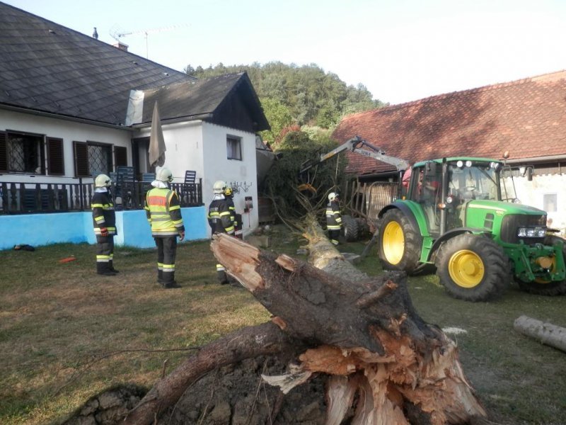 Sturmschaden