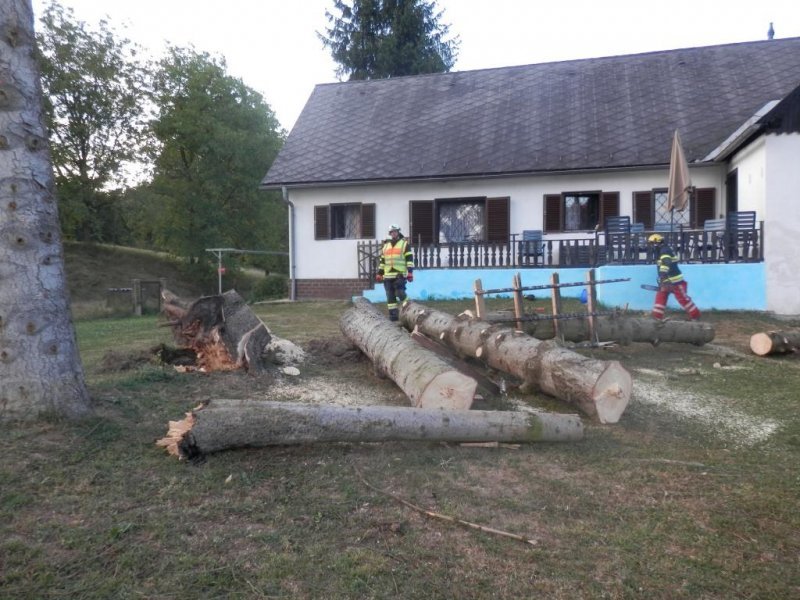 Sturmschaden